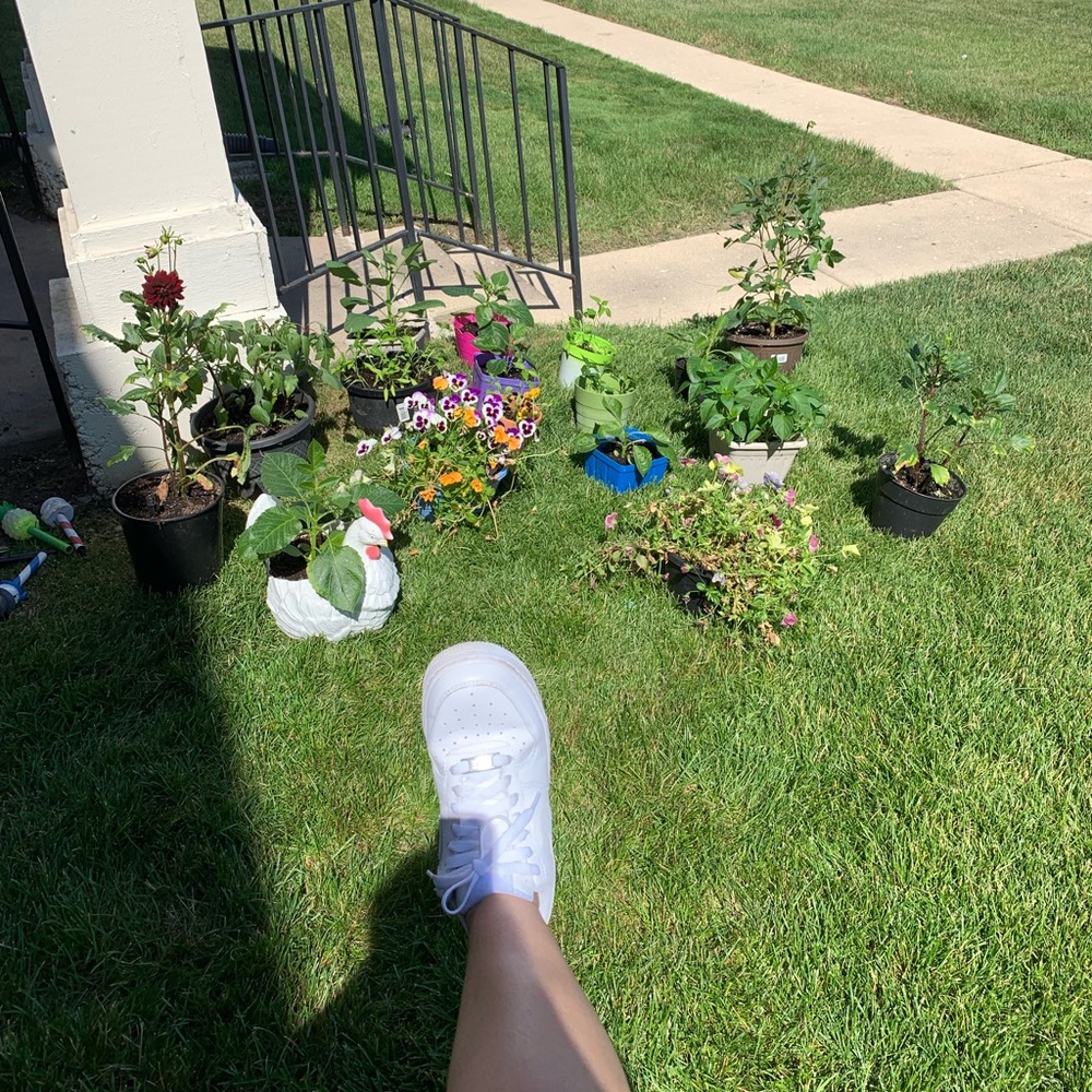 Get to know me!🌱🌻🌞🌱